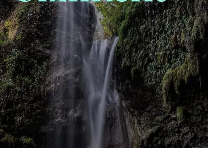 Alen Вілла Каш